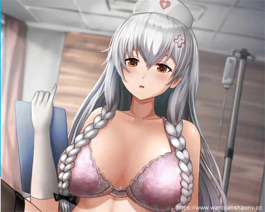 【2.5D/动画】とさか養鶏場【Tosaka Chicken Farm】【3.7G】 - 造梦少女游戏网-造梦少女游戏造梦少女游戏网