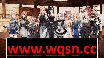 图片[2]-造梦少女游戏【爆款RPG】龙与大剑：竜と大剣 Ver1.03β GPT汉化完全版+存档-造梦少女游戏造梦少女游戏网