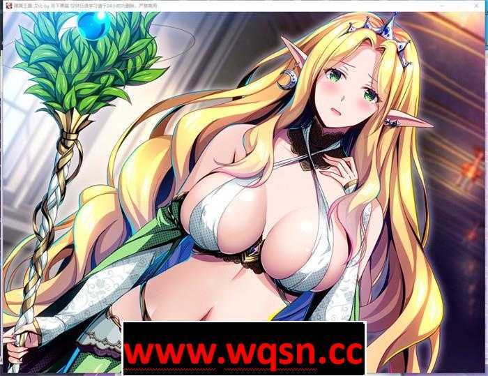 图片[6]-造梦少女游戏【拔作ADV/汉化】蹂躙王国：精灵王国成为巨大苗床 AI精翻汉化版+存档【新作/CV/3G】 - 造梦少女游戏网-造梦少女游戏造梦少女游戏网