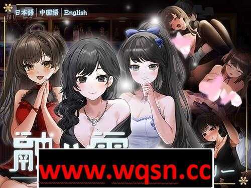 【养成互动SLG/中文/动态】融雪：Yusetsu 官方中文步兵版【新作/全CV/2.2G】 - 造梦少女游戏网-造梦少女游戏造梦少女游戏网