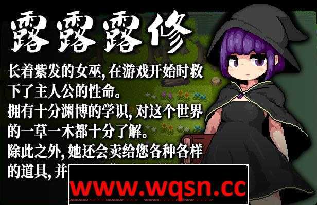 图片[6]-造梦少女游戏【像素PRG/中文/全动态】勇者闯魔穴 Ver1.00 STEAM官中步兵版【新作/エロ战斗/200M】 - 造梦少女游戏网-造梦少女游戏造梦少女游戏网