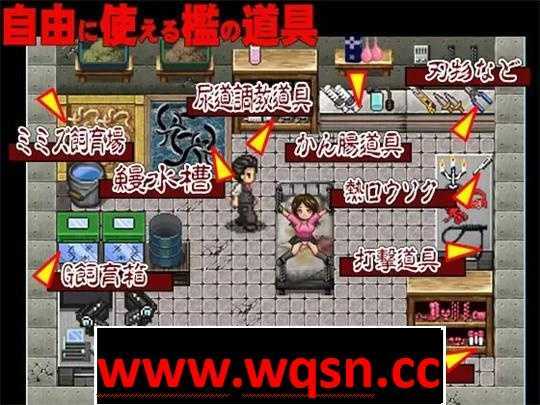 图片[3]-造梦少女游戏【日系RPG/汉化/重口】自由调教之笼 1+2 精翻汉化版-造梦少女游戏造梦少女游戏网