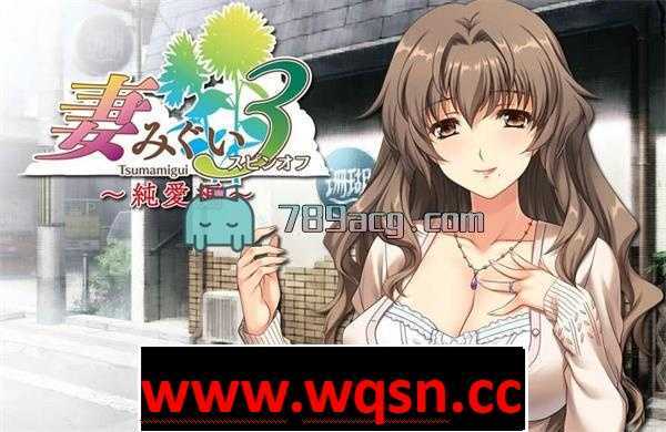 图片[2]-造梦少女游戏【大作SLG/汉化/整合】妻中蜜：1+2+3 整合！完整汉化版+全动画 【6G】 - 造梦少女游戏网-造梦少女游戏造梦少女游戏网