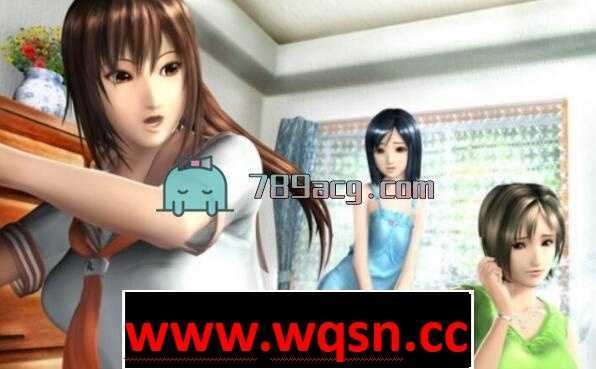 图片[3]-造梦少女游戏【3D互动/I社/经典】电车之狼R 中文版+特典 一键安装版 【2.3G】 - 造梦少女游戏网-造梦少女游戏造梦少女游戏网