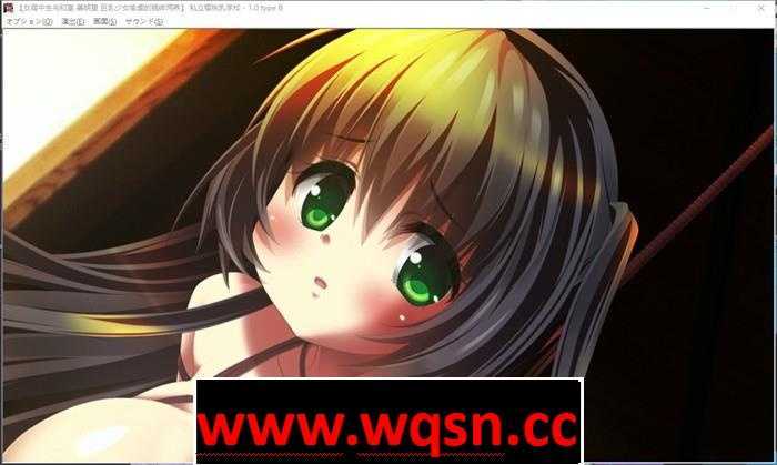 图片[5]-造梦少女游戏【互动SLG/汉化/全动态】女高中生与和室：善明堇 精翻完整汉化版【新汉化/PC+安卓KR/1.4G】 - 造梦少女游戏网-造梦少女游戏造梦少女游戏网