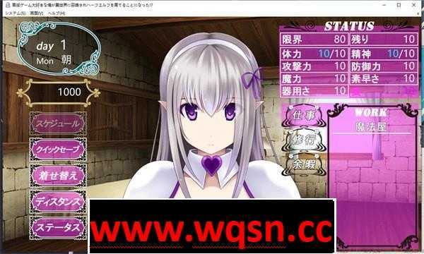 图片[3]-造梦少女游戏【养成SLG/汉化】我最喜欢的育成游戏，却被召唤到异世界 云翻汉化结局版【更新/PC+安卓KR/700M】 - 造梦少女游戏网-造梦少女游戏造梦少女游戏网