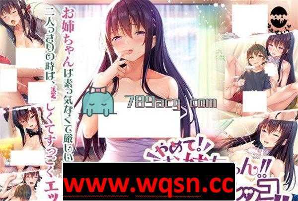 图片[1]-造梦少女游戏【拔作ADV/汉化/全CV】请停手吧姐姐大人！要断了！完整汉化版+全CG【PC+安卓KRKR4.3G】 - 造梦少女游戏网-造梦少女游戏造梦少女游戏网