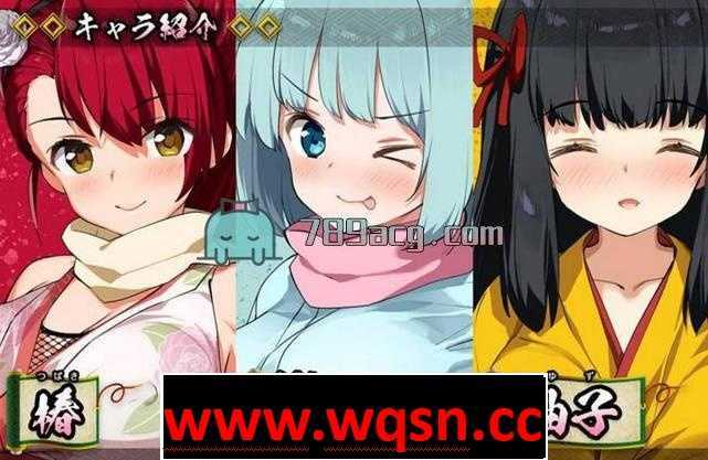 图片[3]-造梦少女游戏【RPG】女忍者椿-丝袜女忍者的战国之旅 汉化版+全CG PC+安卓-造梦少女游戏造梦少女游戏网