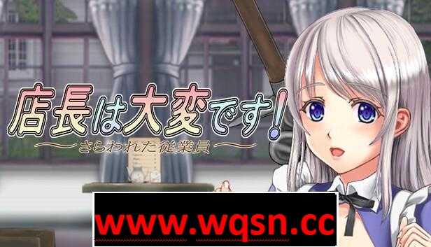 【ACT/中文/丝滑动态】店长实在有够忙！～被擄走的店員～V1.06官方中文版【新作/2G】-造梦少女游戏造梦少女游戏网