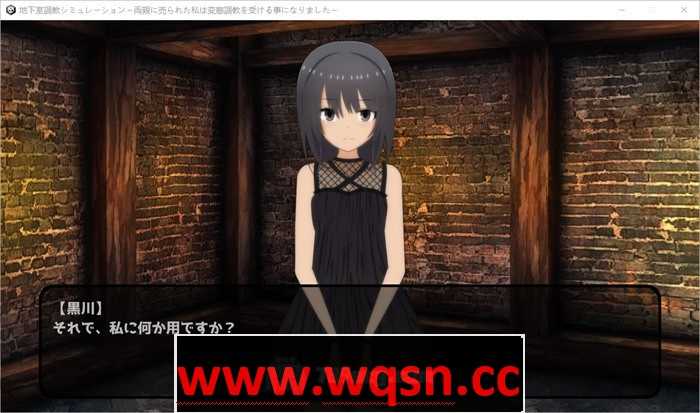 图片[2]-造梦少女游戏【调教SLG/生肉/全动态】地下室调教模拟器~被父母出卖的我将接受变态调教 V1.10 DL正式版【新作/200M】 - 造梦少女游戏网-造梦少女游戏造梦少女游戏网