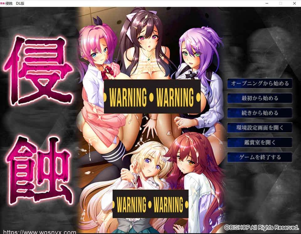 [ADV/AI机翻]BISHOP主教社 侵蚀 附带全CG存档2G-造梦少女游戏造梦少女游戏网