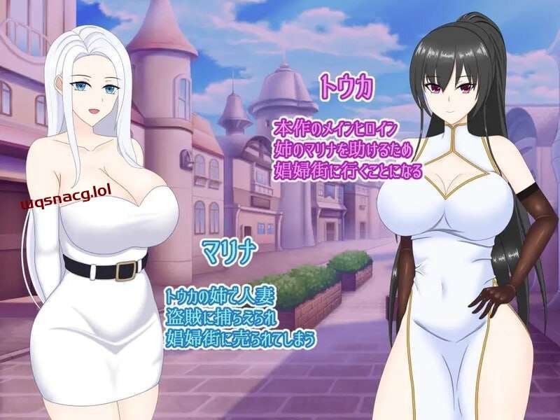 [RPG] 寝取られ娼婦街～強気幼馴染が娼婦に堕ちる PC+安卓 v1.0-造梦少女游戏造梦少女游戏网