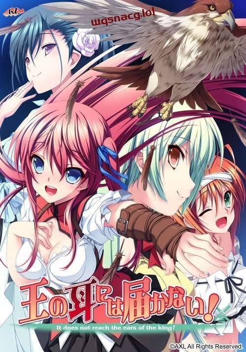 [拔作ADV] 王的耳朵听不到！王の耳には届かない！AI汉化版-造梦少女游戏造梦少女游戏网
