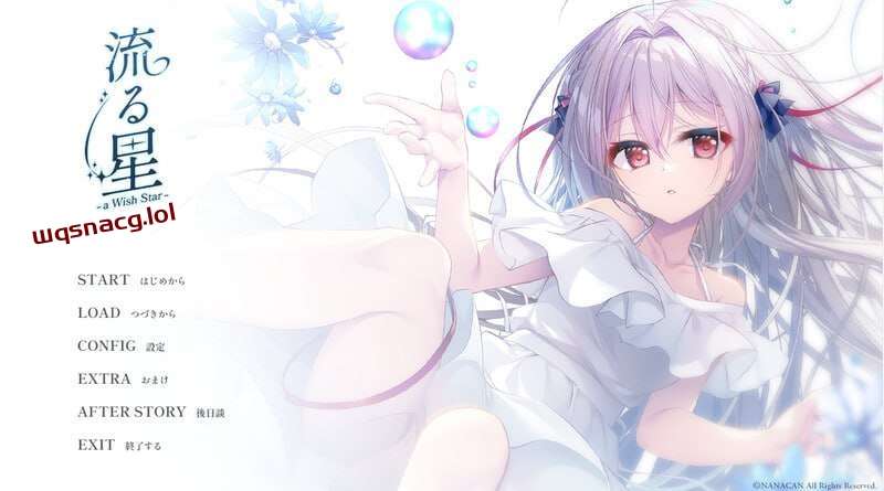 [拔作ADV] 流星-a wish star 流る星 v1.0 Steam官方中文+CG1.8G - 造梦少女游戏网-造梦少女游戏造梦少女游戏网