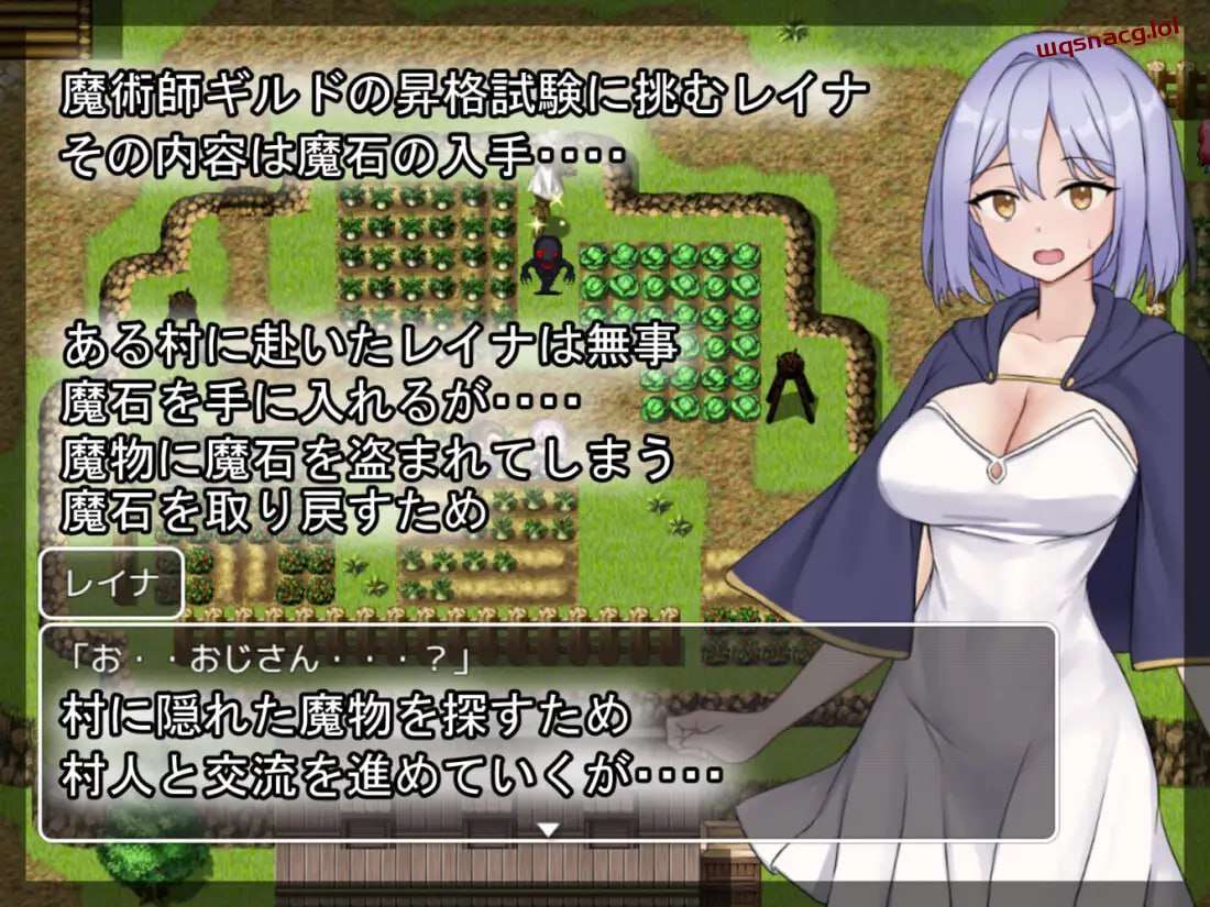[RPG] 蕾娜的魔石和晋升考试 レイナの魔石と昇格試験 AI汉化版-造梦少女游戏造梦少女游戏网